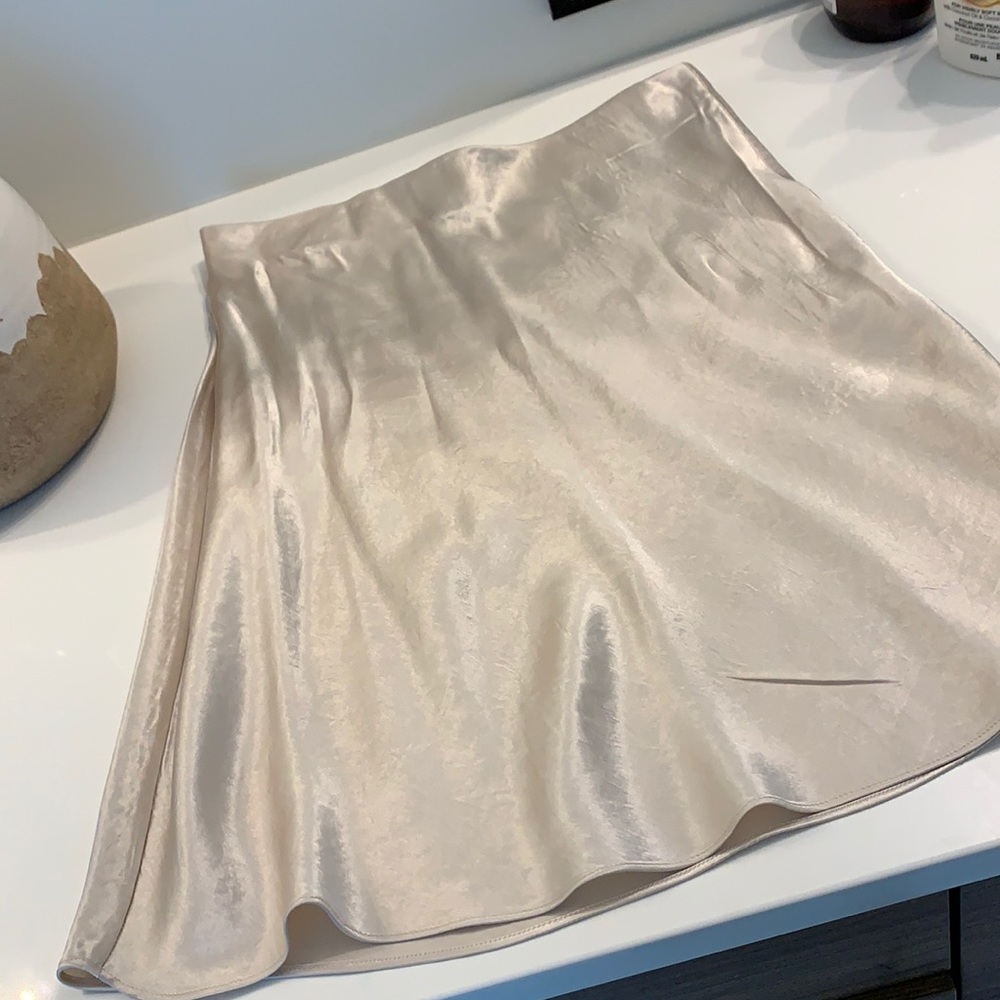 Aritzia silk skirt